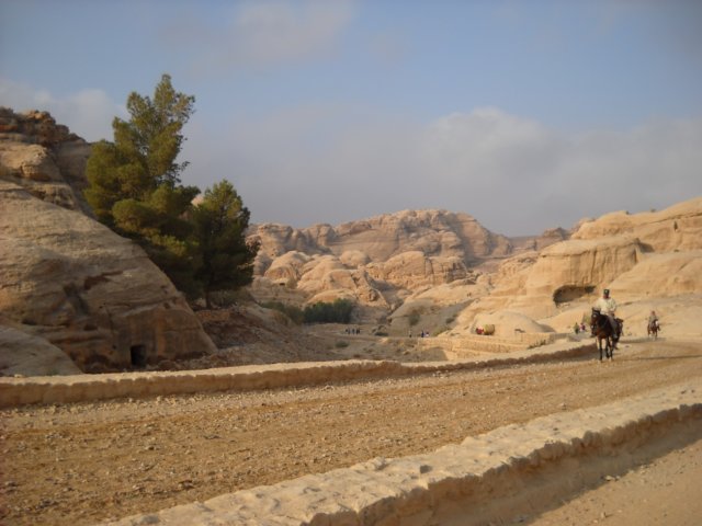dscn0222.jpg