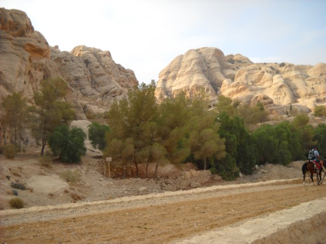 dscn0228.jpg