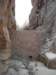 dscn0239_small.jpg