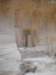 dscn0240_small.jpg
