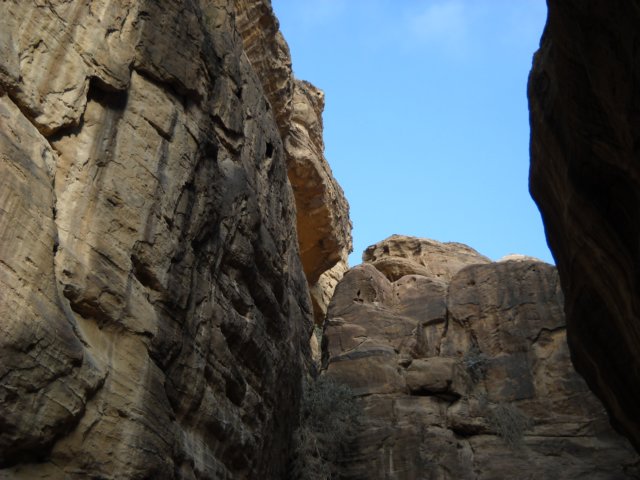 dscn0243.jpg