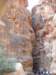 dscn0254_small.jpg