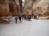 dscn0271_small.jpg