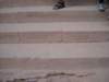 dscn0296_small.jpg