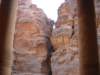 dscn0305_small.jpg