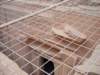 dscn0311_small.jpg