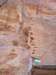 dscn0318_small.jpg