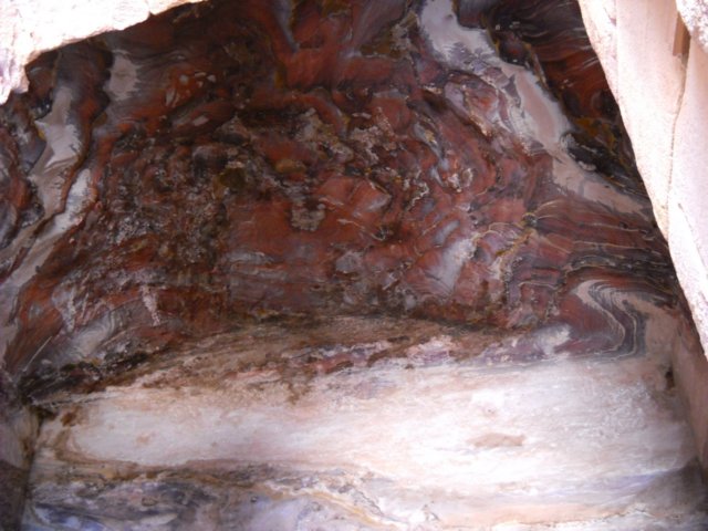 dscn0370.jpg