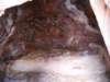 dscn0370_small.jpg