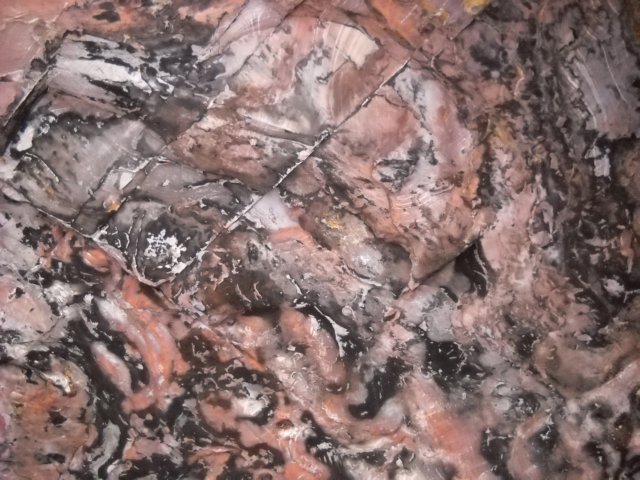 dscn0388.jpg