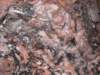 dscn0388_small.jpg