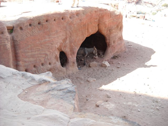 dscn0390.jpg