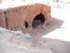 dscn0390_small.jpg