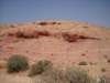 dscn0420_small.jpg