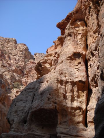 dscn0429.jpg
