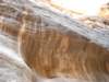 dscn0443_small.jpg