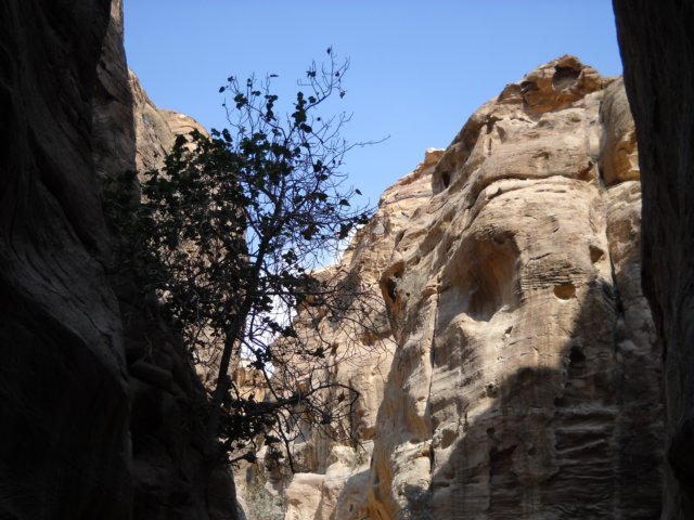 dscn0444.jpg