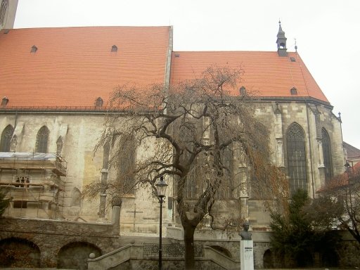 pict0628.jpg