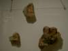 pict0654_small.jpg