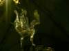 pict0794_small.jpg