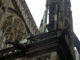 pict0806.jpg