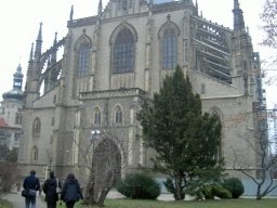 pict0851.jpg