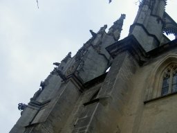 pict0856.jpg