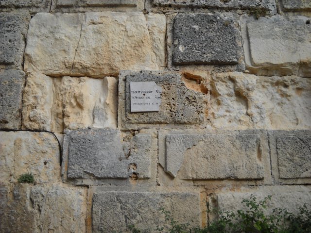 dscn0204.jpg