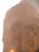 dscn0207_small.jpg