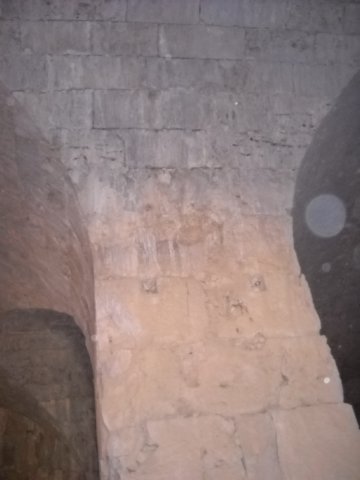 dscn0209.jpg