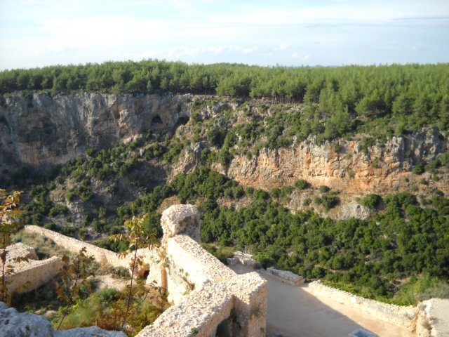 dscn0226.jpg