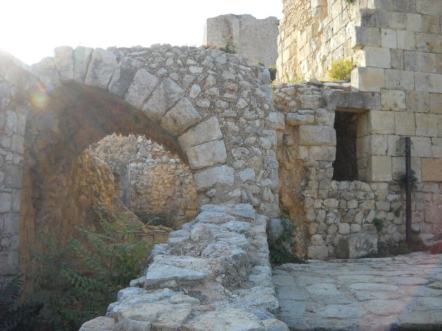 dscn0247.jpg