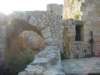 dscn0247_small.jpg