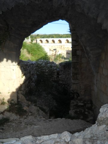 dscn0253.jpg