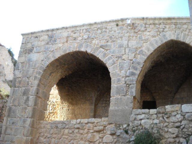 dscn0256.jpg