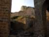 dscn0257_small.jpg