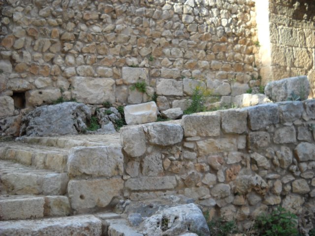 dscn0260.jpg