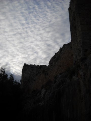 dscn0270.jpg