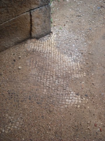 dscn0659.jpg