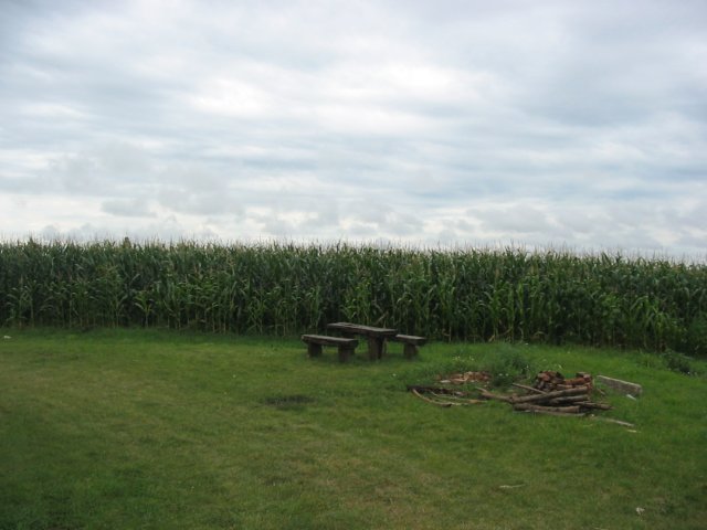 img_2884.jpg