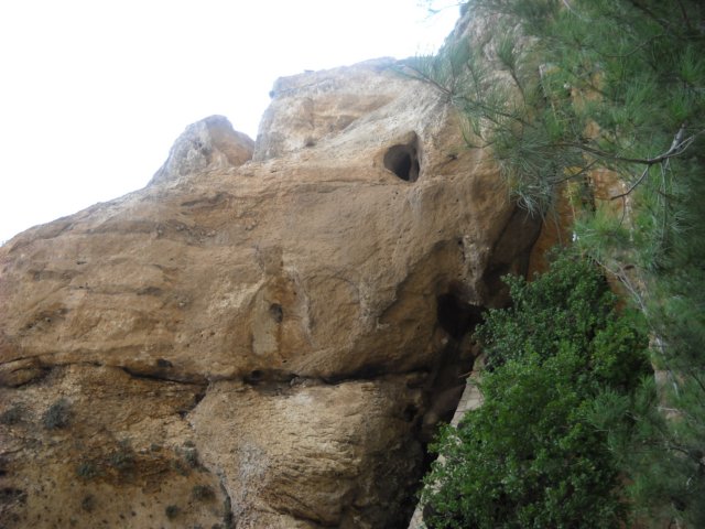 dscn0758.jpg