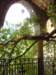 dscn0771_small.jpg