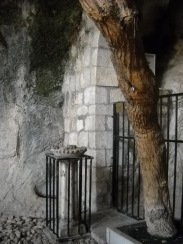 dscn0774.jpg