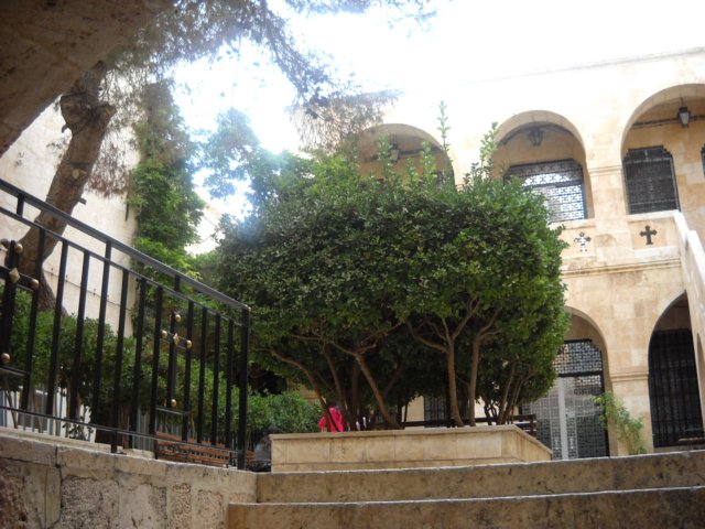 dscn0801.jpg