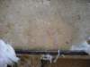 dscn0829_small.jpg