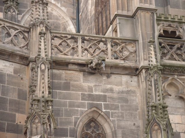 photo44.jpg