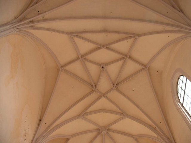 photo59.jpg