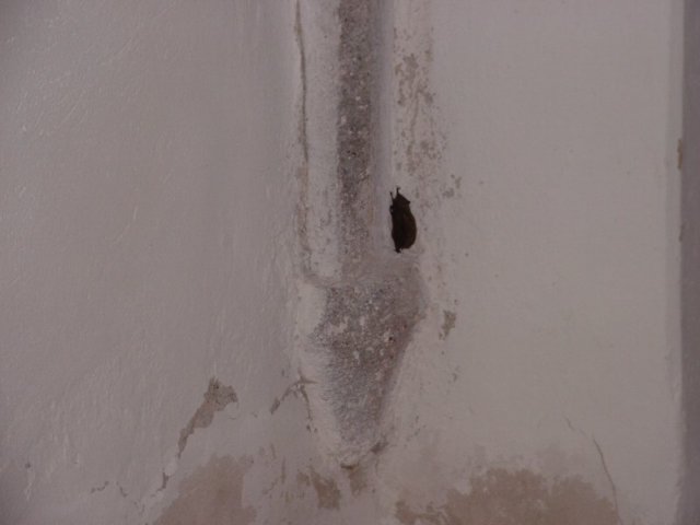 photo72.jpg
