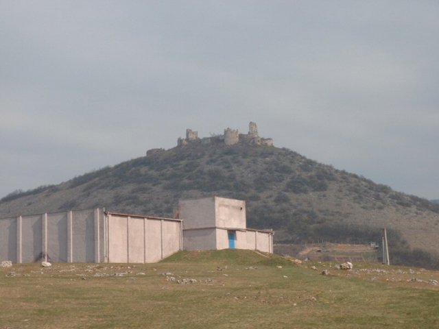 photo83.jpg