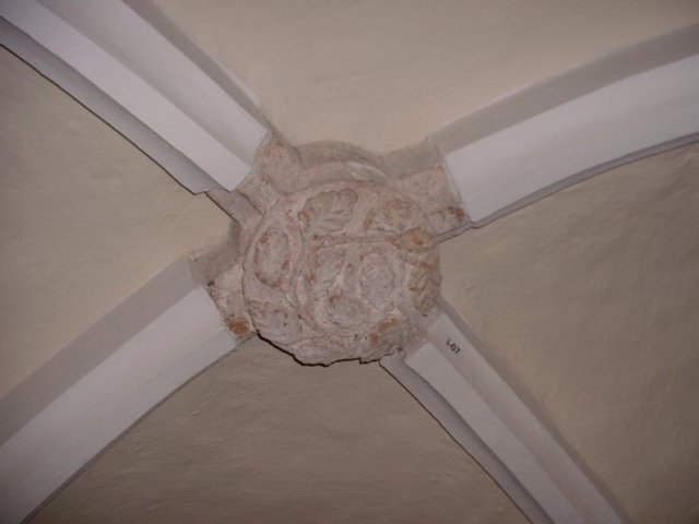 photo99.jpg